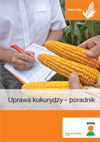 uprawa_qq-poradnik